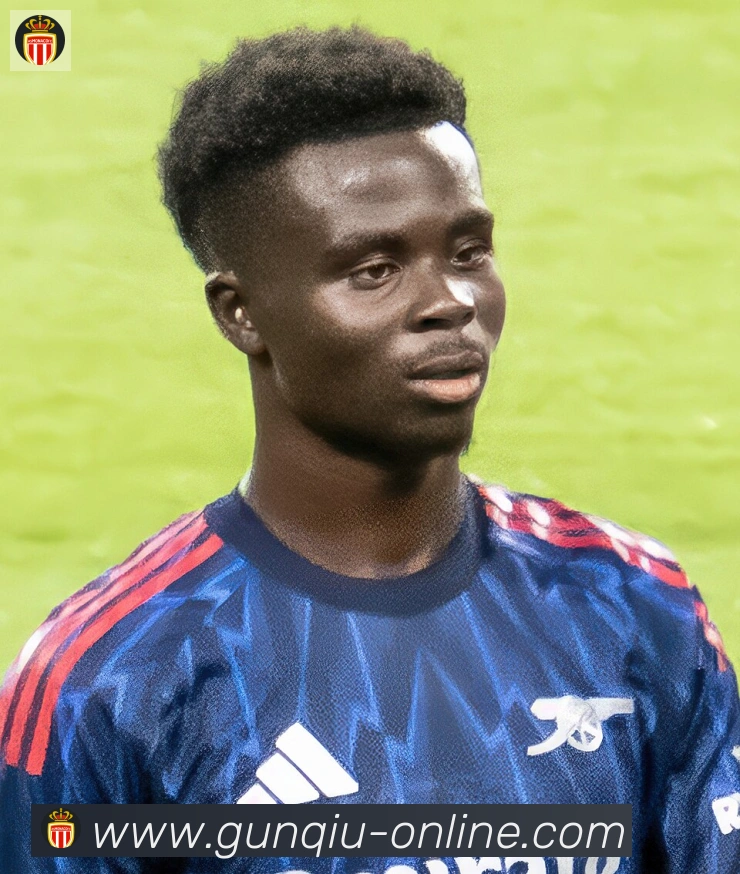 维尼修斯